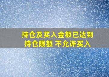 持仓及买入金额已达到持仓限额 不允许买入